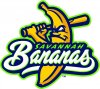 savannah-bananas.jpg