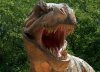 tyrranosaurus-rex.jpg