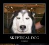 Motivator - Skeptical Dog.jpg