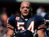 brian-urlacher-getty.jpg