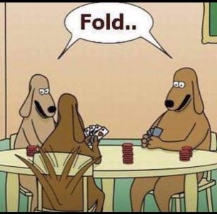 Dogs playing poker.jpg