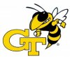 Georgia-Tech-Bees-e1312386158531.jpg