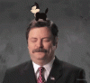 funny-gif-Ron-Swanson-cartoon-kitty.gif