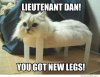 lieutenant-dan-you-got-new-legs.jpg