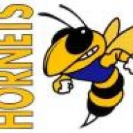 SGCHS Hornet