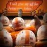 T Vols 21