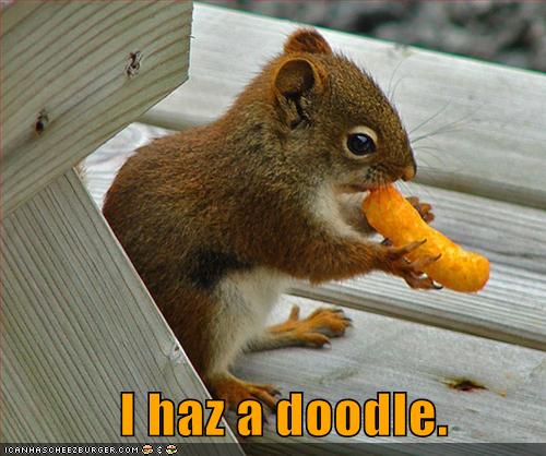 funny-pictures-squirrel-cheese-doodle.jpg