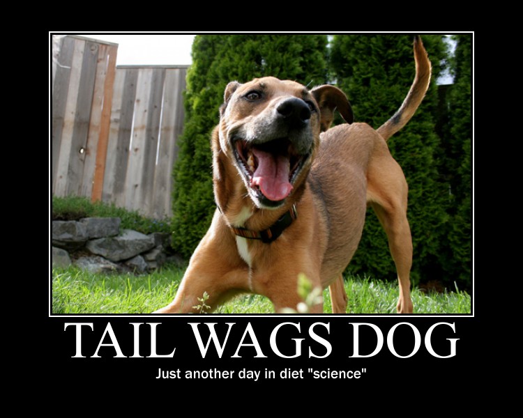 taildog.jpg