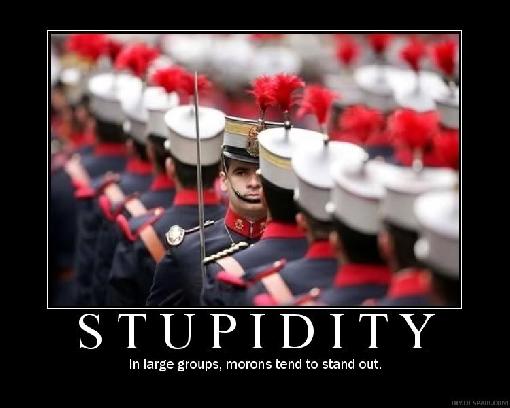 stupidity-18566.jpg