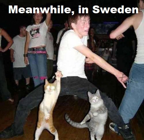 Meanwhile_in_Sweden.jpg