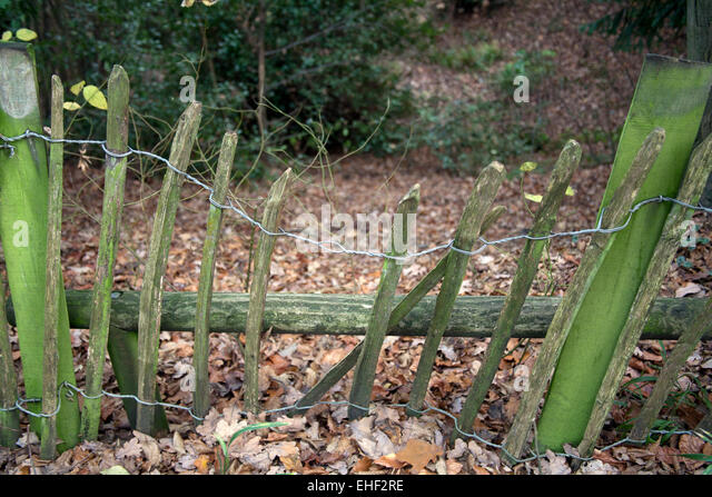 broken-down-wooden-fence-royal-victoria-park-bath-spa-somerset-uk-ehf2re.jpg