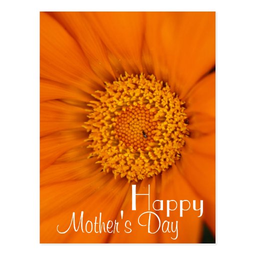 orange_flower_happy_mothers_day_customized_postcard-r8a77c83e11a64cffb23382aa669b7442_vgbaq_8byvr_512.jpg
