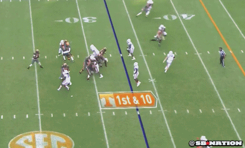 vols.0.gif