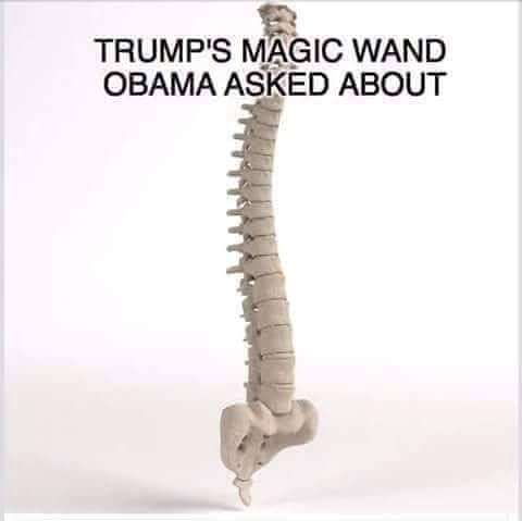 trumps-magic-wand-jpg.63759