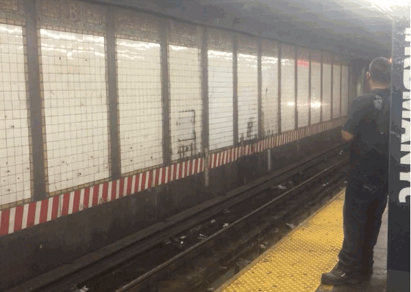 the-l-train-pulls-into-bedford-station-in-brooklyn.gif