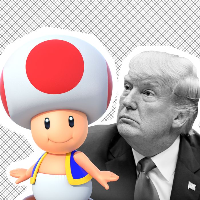 18-toad-trump-2.w700.h700.jpg