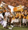 FL_04_Reed_TD.jpg