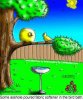 bird_bath.jpe