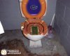 toilet.jpg