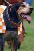 a_smokey_0986.jpg