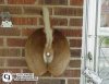 DOORBELL.jpg