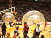 Zorb.gif