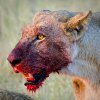 dinnertime.jpg