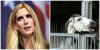 Ann-Coulter-e1421854443331.jpg