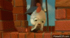 image.gif