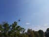 20160910_110248.jpg