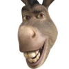 donkey.png