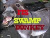 swamp.jpg
