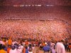 tnflgm98.jpg tnflgm98.jpg