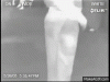 CY3sC0.gif