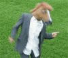 giphy (4).gif
