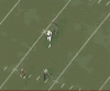 the-flop.gif