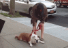 tumblr_nxv6tiul0v1uhmuomo1_400.gif