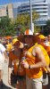 vols 2.jpg