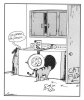 far side.jpg