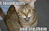 Lolcats 880 2.jpg