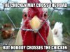 Angry Chicken.jpg