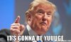 -It39s-gonna-be-yuuuge-meme-45982.jpg
