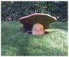 under-a-rock1.jpg
