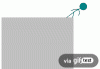 IMG_7146.GIF