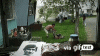 IMG_7815.GIF