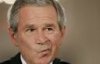 funny bush.jpg