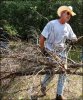 bush-clearing-brush.jpg