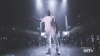 giphy-1.gif
