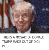 665393250421854208-Twitter.png