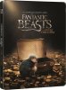 Fantastic Beasts Steel.jpg